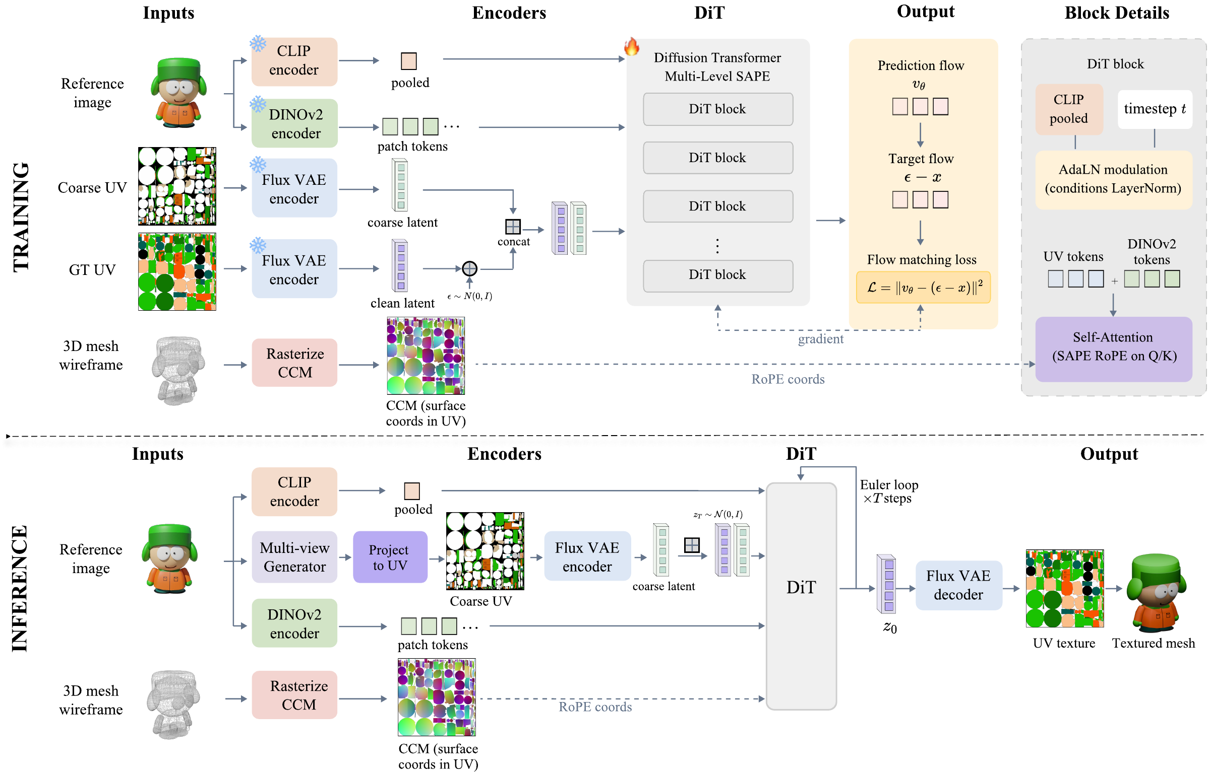 DirectUV training and inference pipeline.